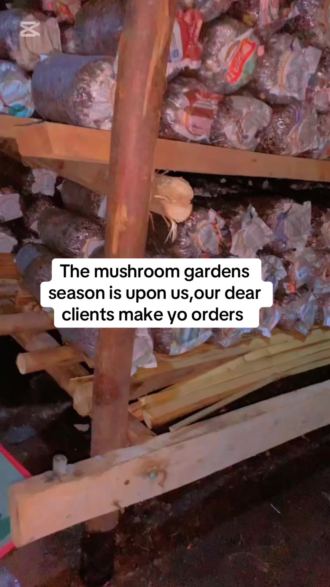 @BLESSED AGRICULTURAL MUSHROOM