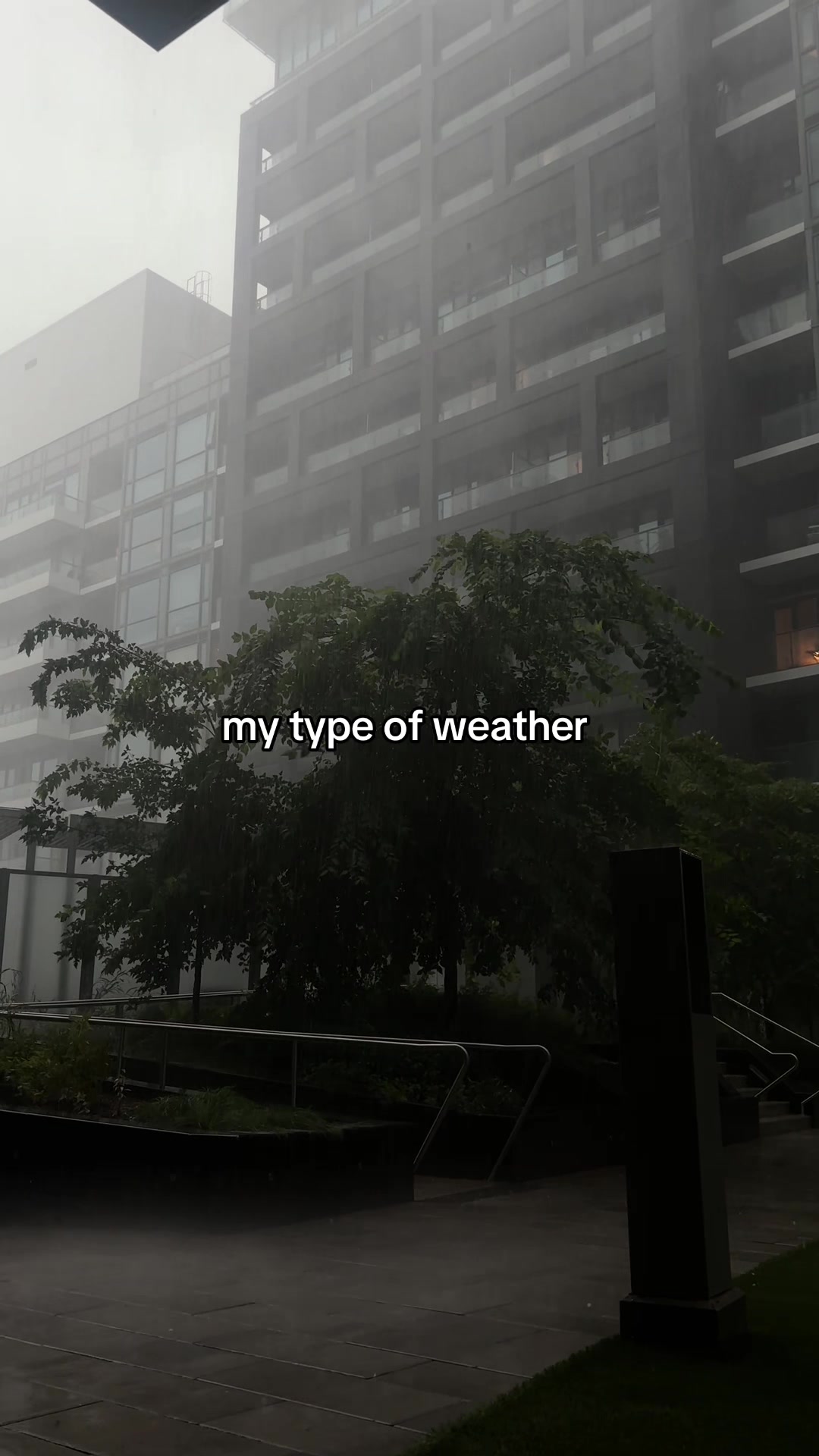 @Sisan Tuedor