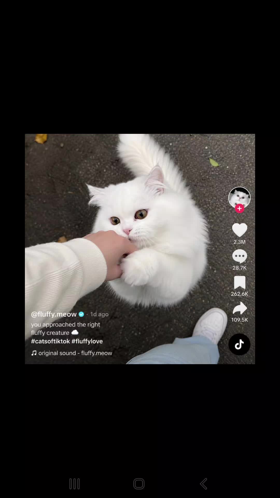 @😇ANЕТ😇