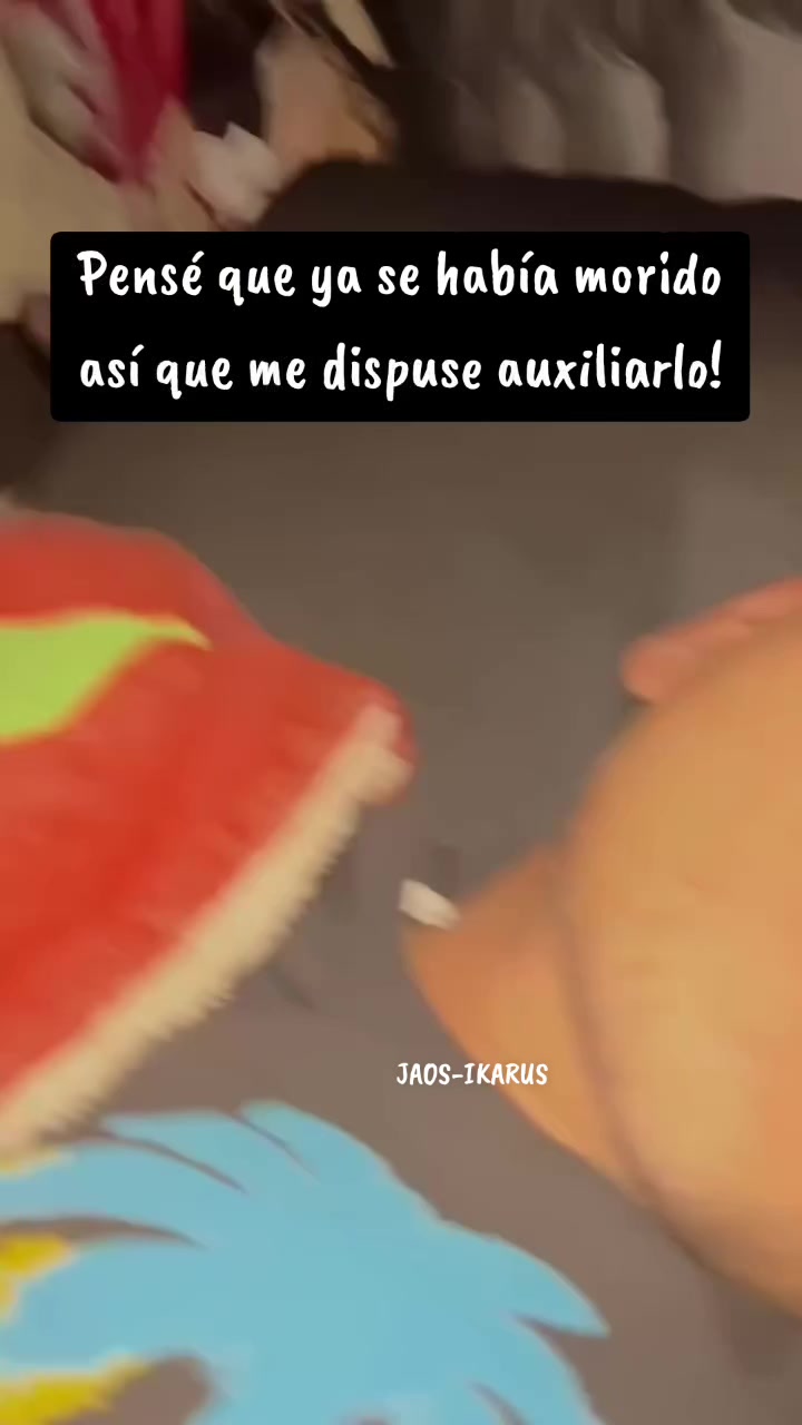 @JAOS-IKARUS