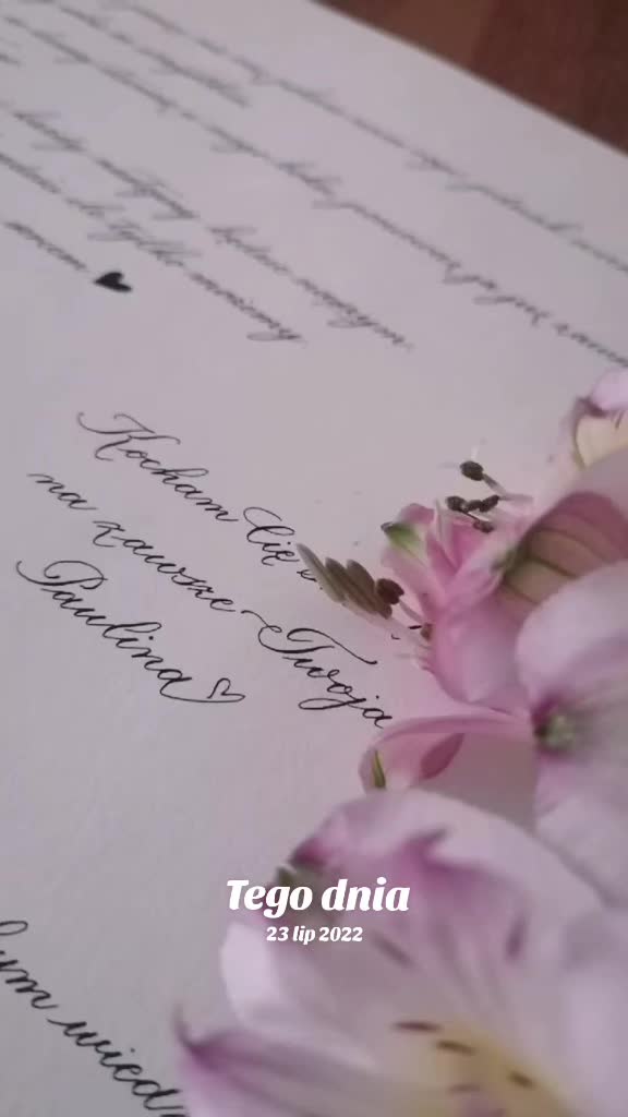 @Scriptfolium
