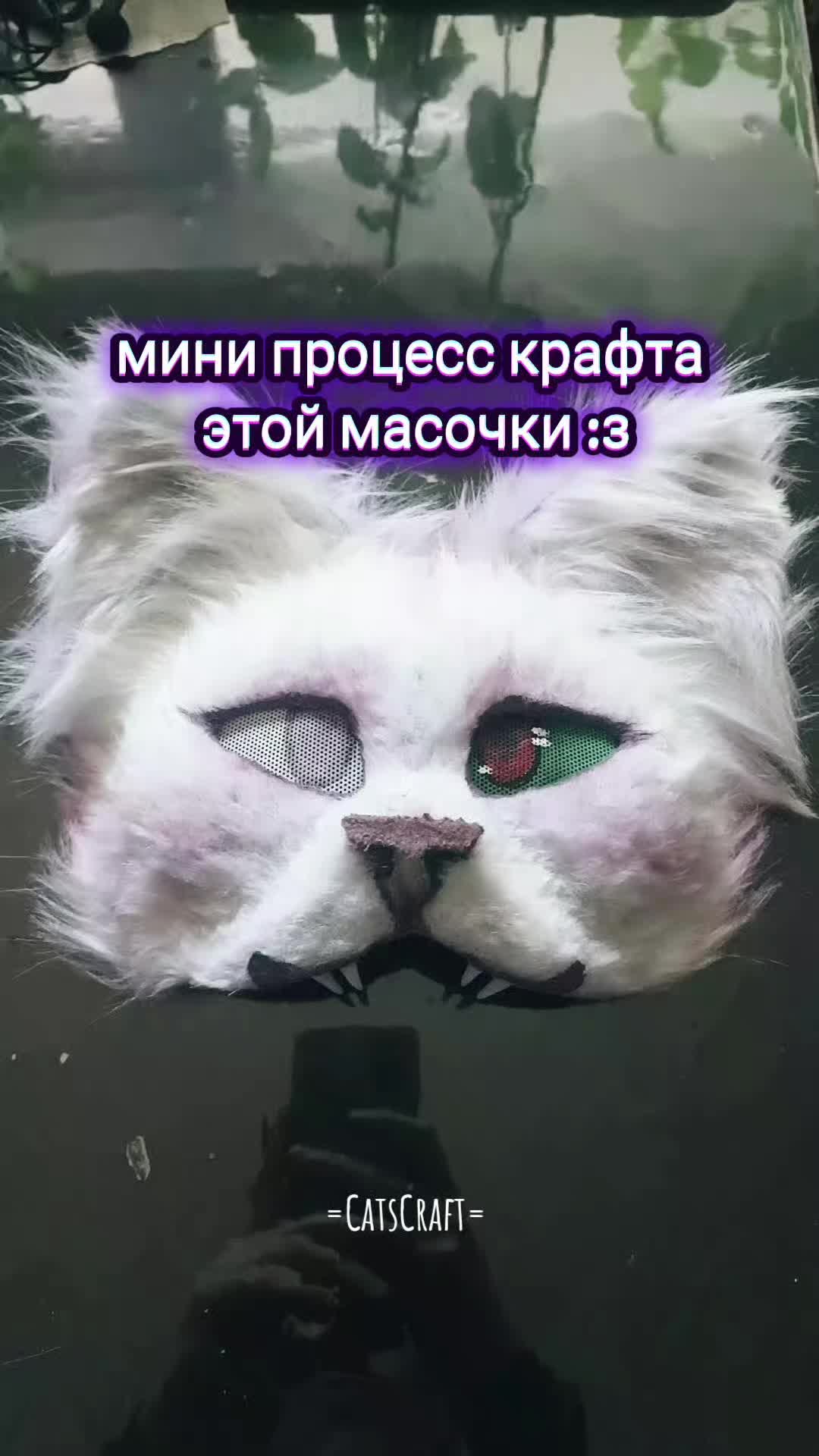@CatsCraft🐾