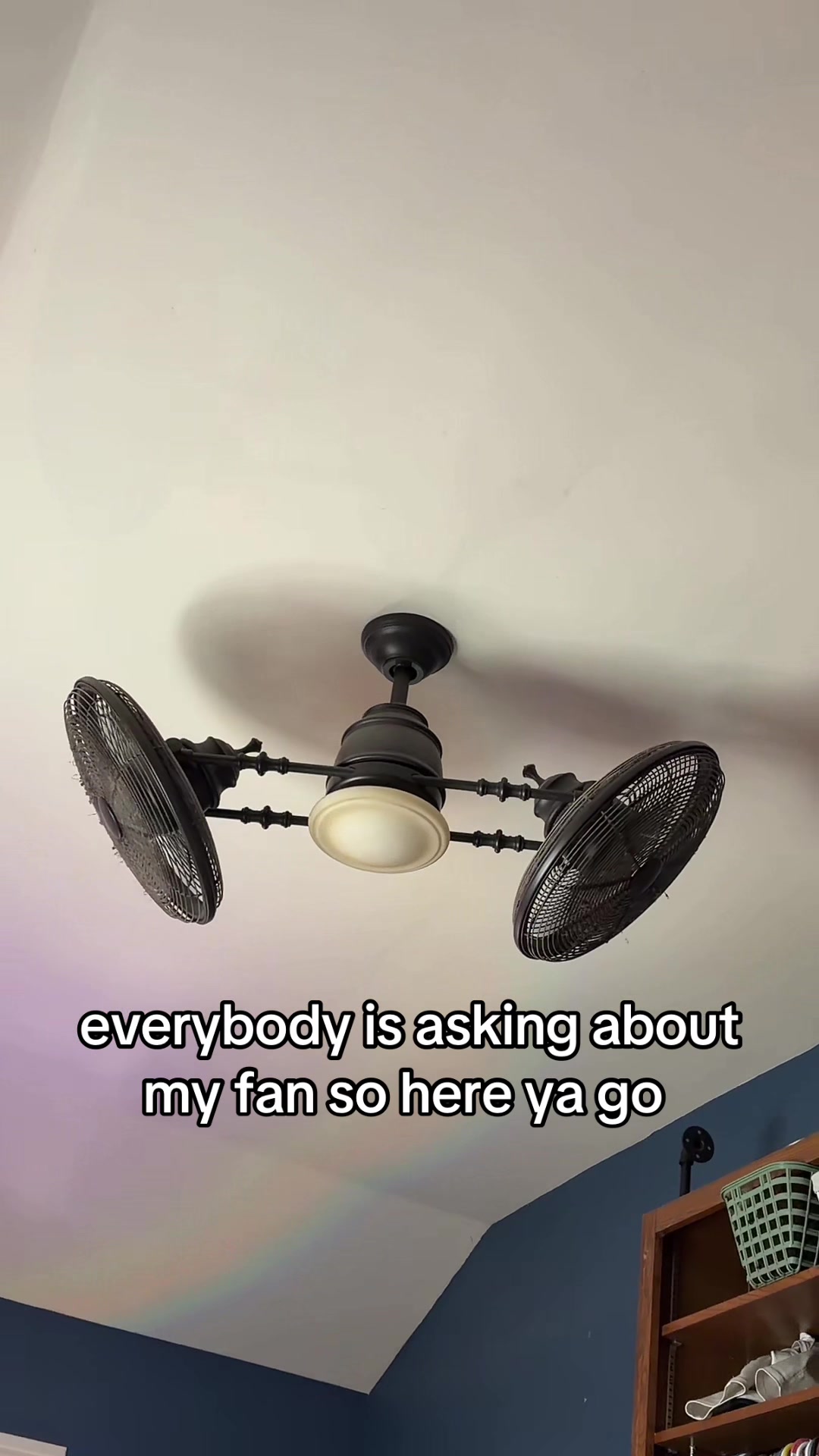 @Caitlin Rivera