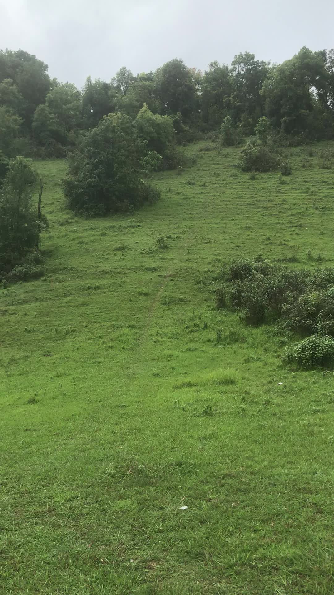@mtbsushil48