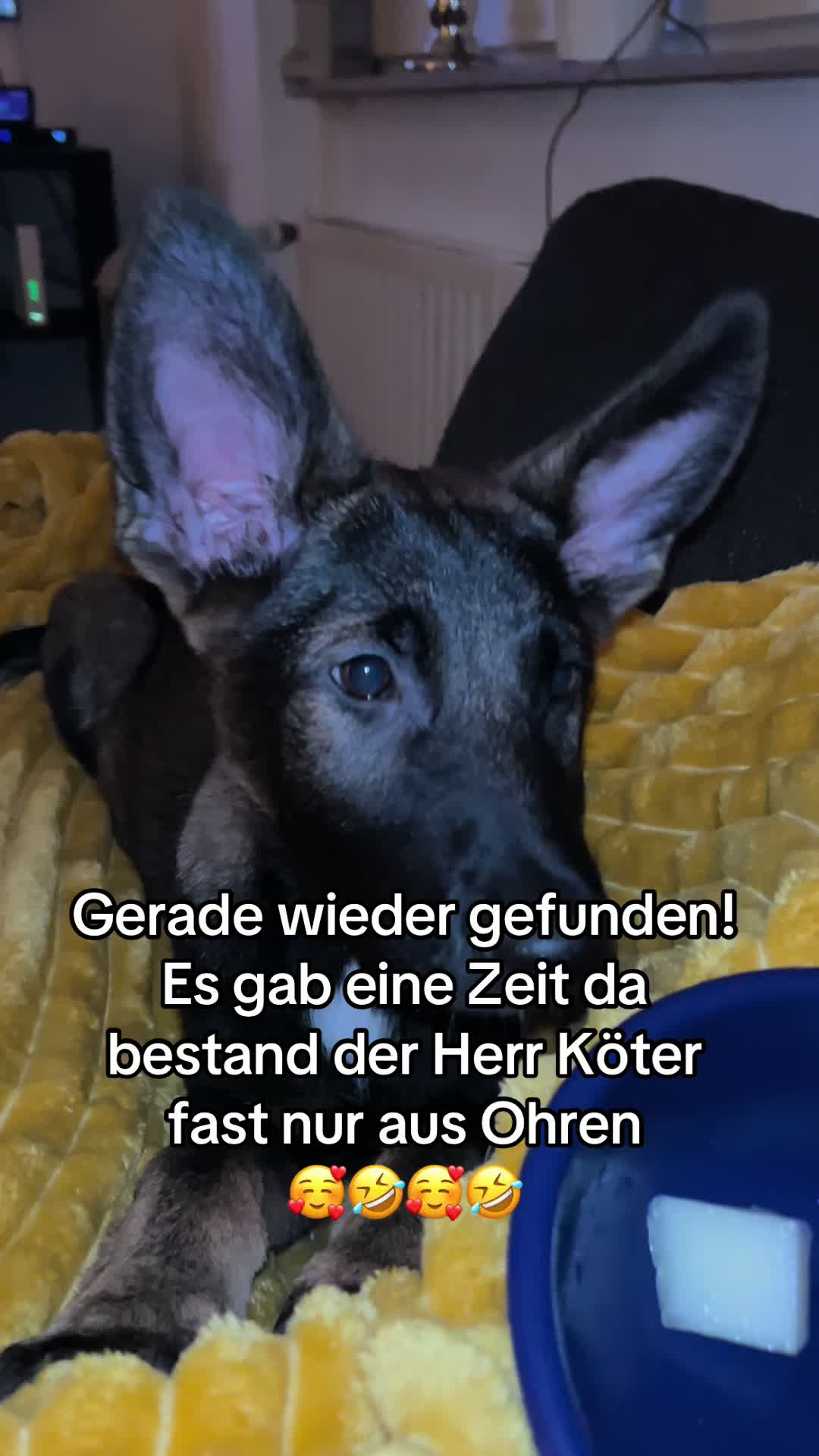 @Schotterprinzessin