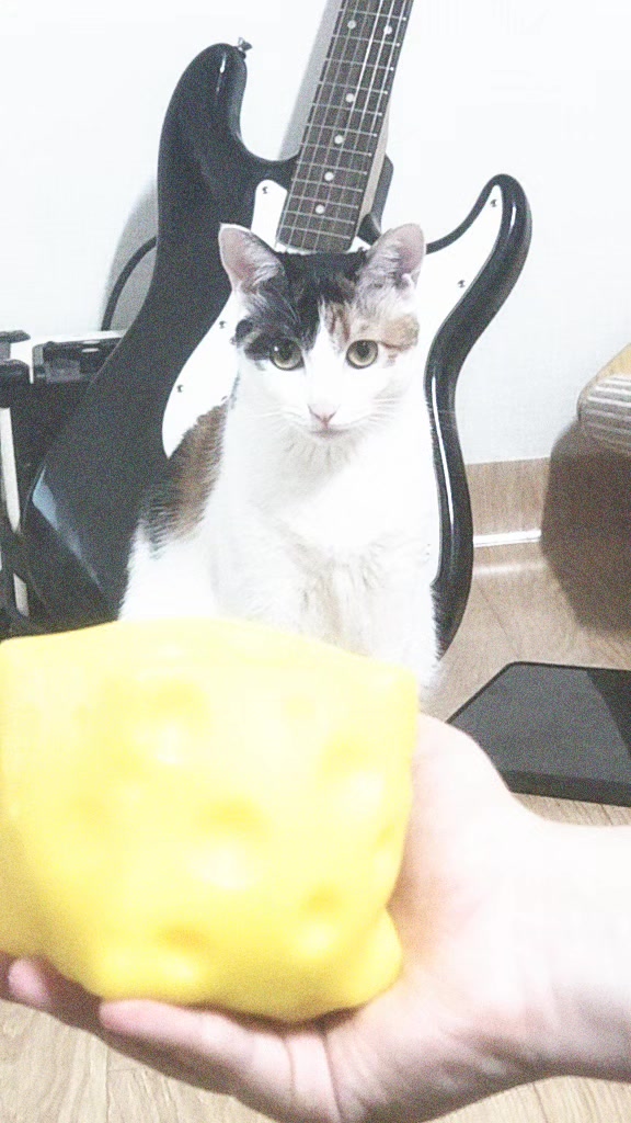 @채율