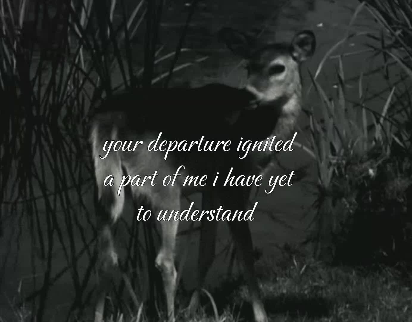 @imaginationsymphony