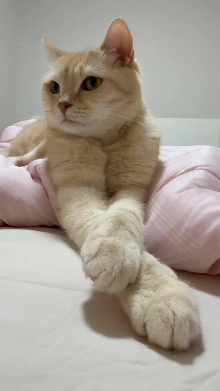 @どこかのだれか