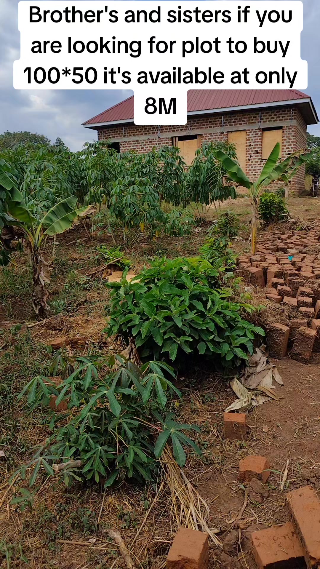@NUPNUP53 (2)🇺🇬