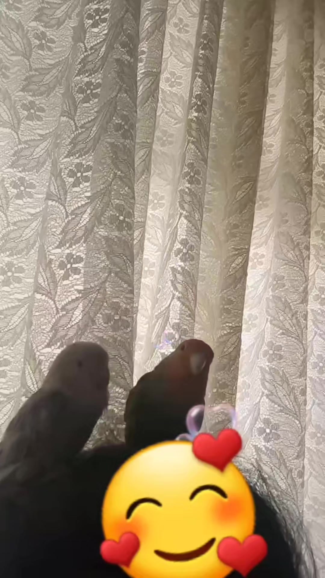 @HAYAT DEĞİL İNSANLAR ACIMASIZ
