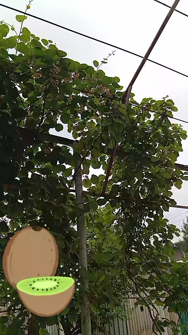 @❤Индира❤