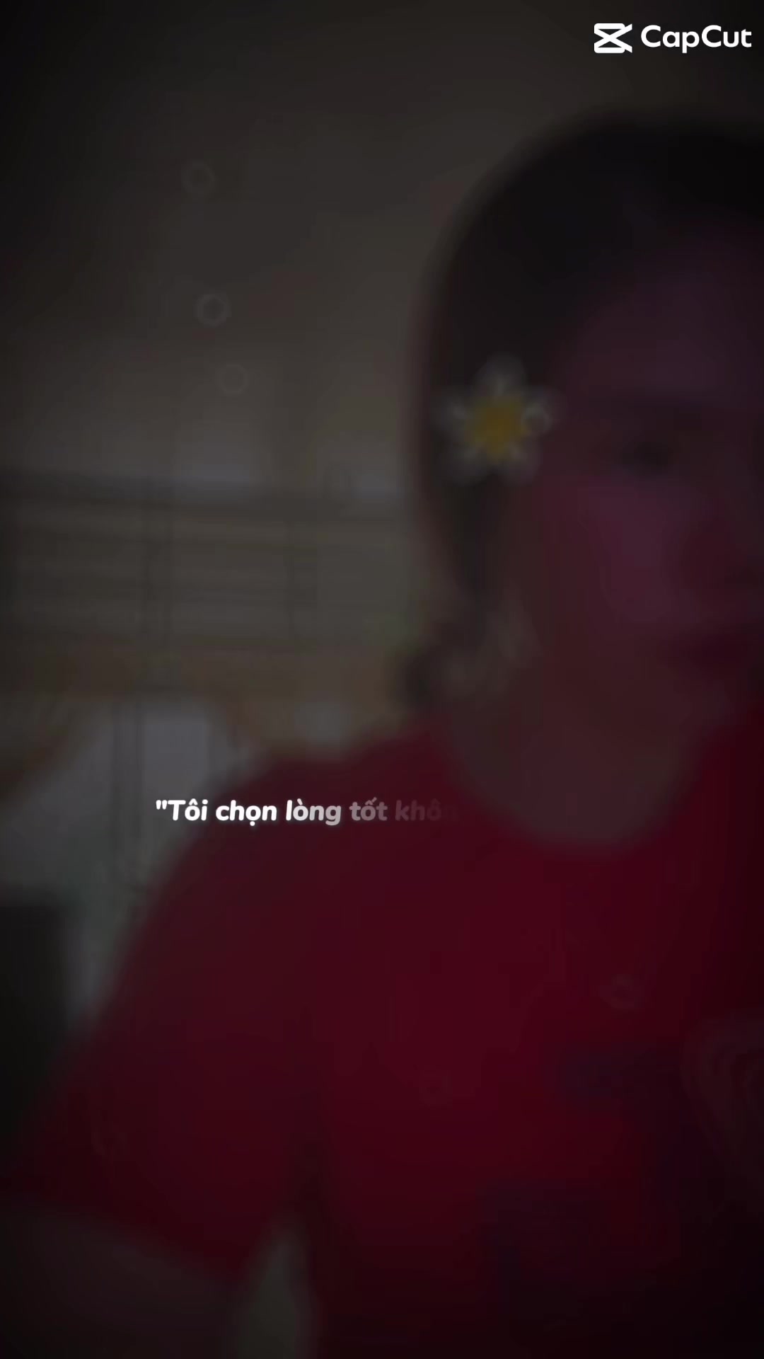 @⋆˚HOᗩᗷỉᑎGạᑎ˚⋆🪸