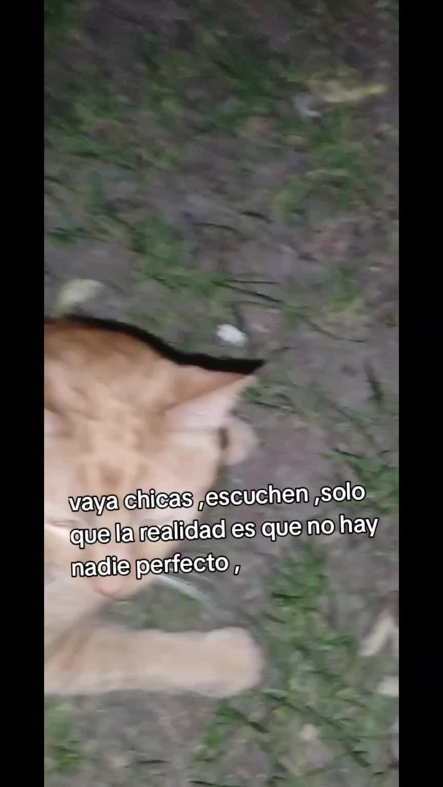 @martita