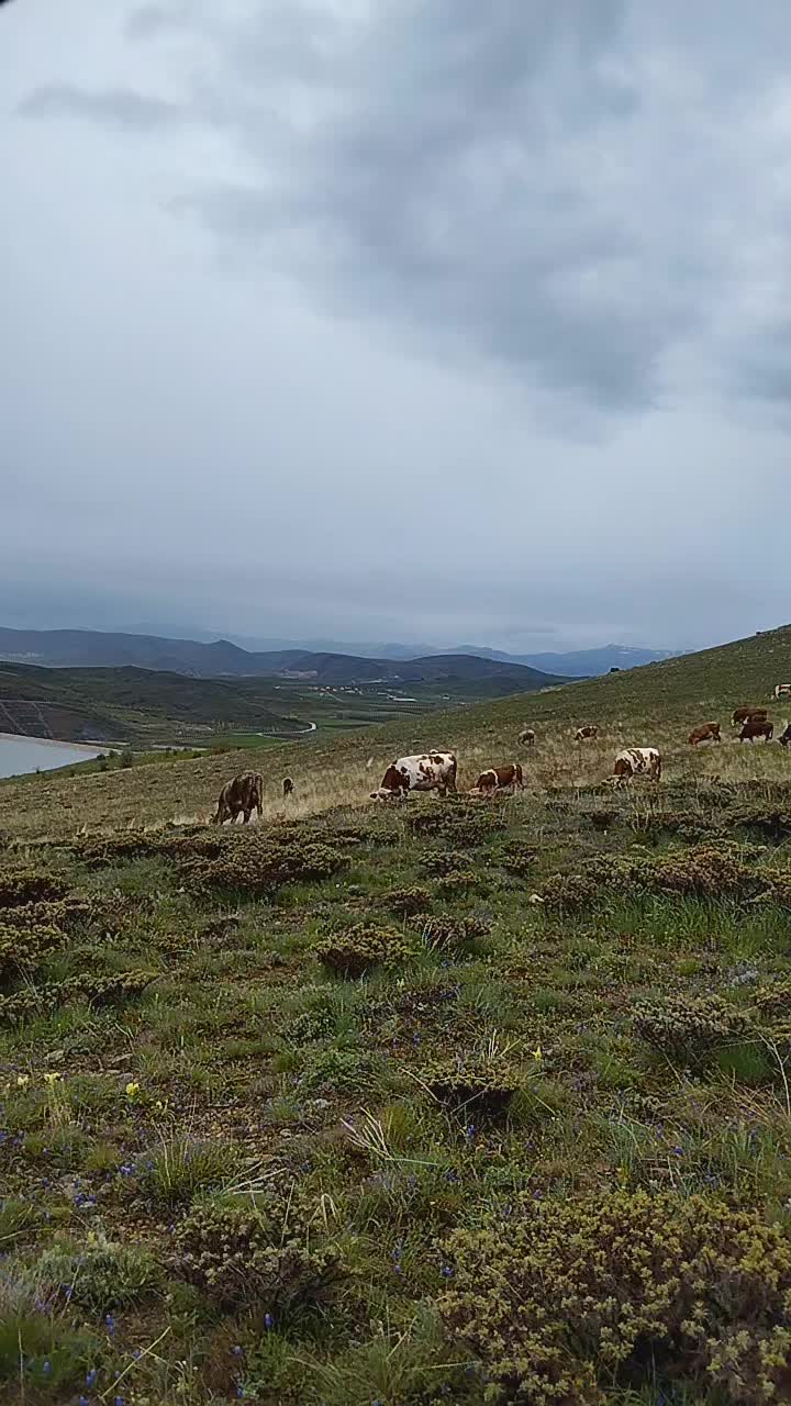 @Orhan Kaya