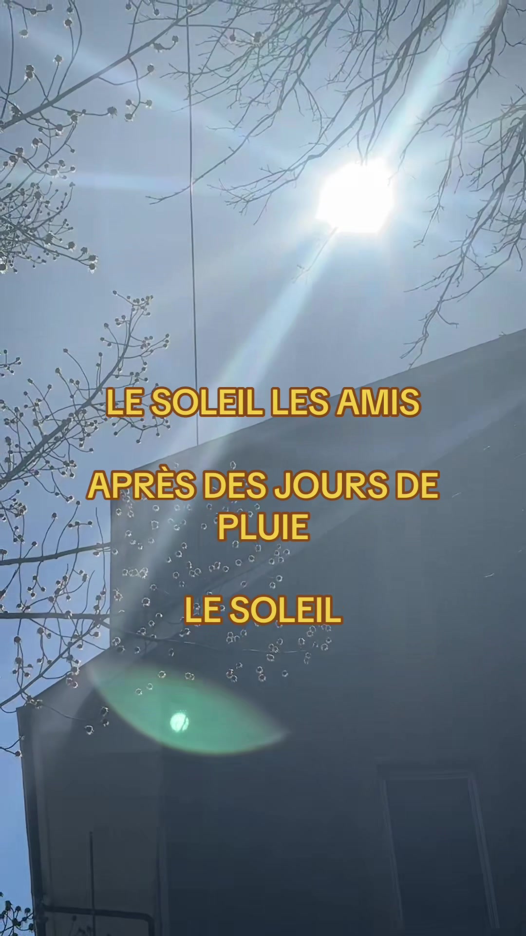 @Laurée-Ann 🌼 🧡🩺