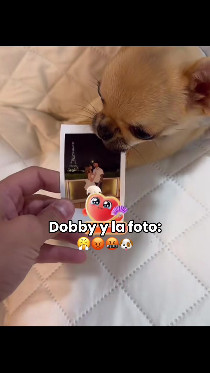 @Angelito