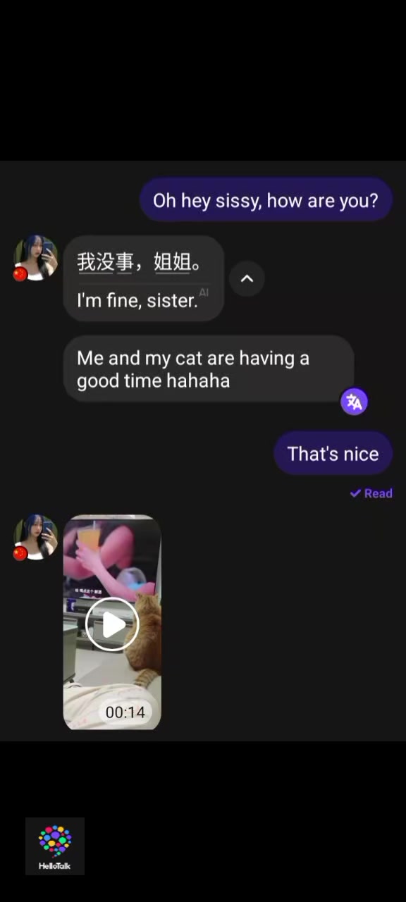 @什么:p