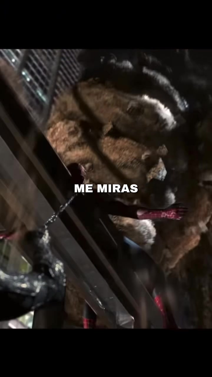 @aldopelaez