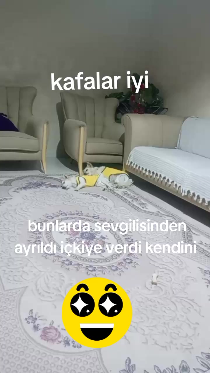 @ozlemizmirli
