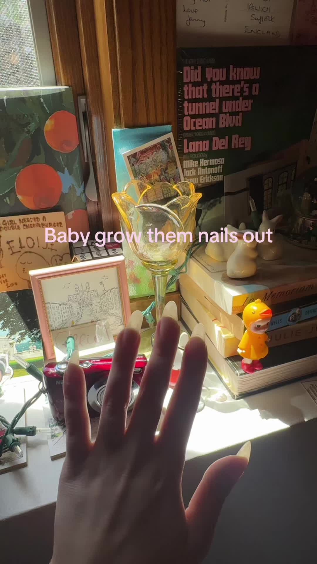 @Kitten