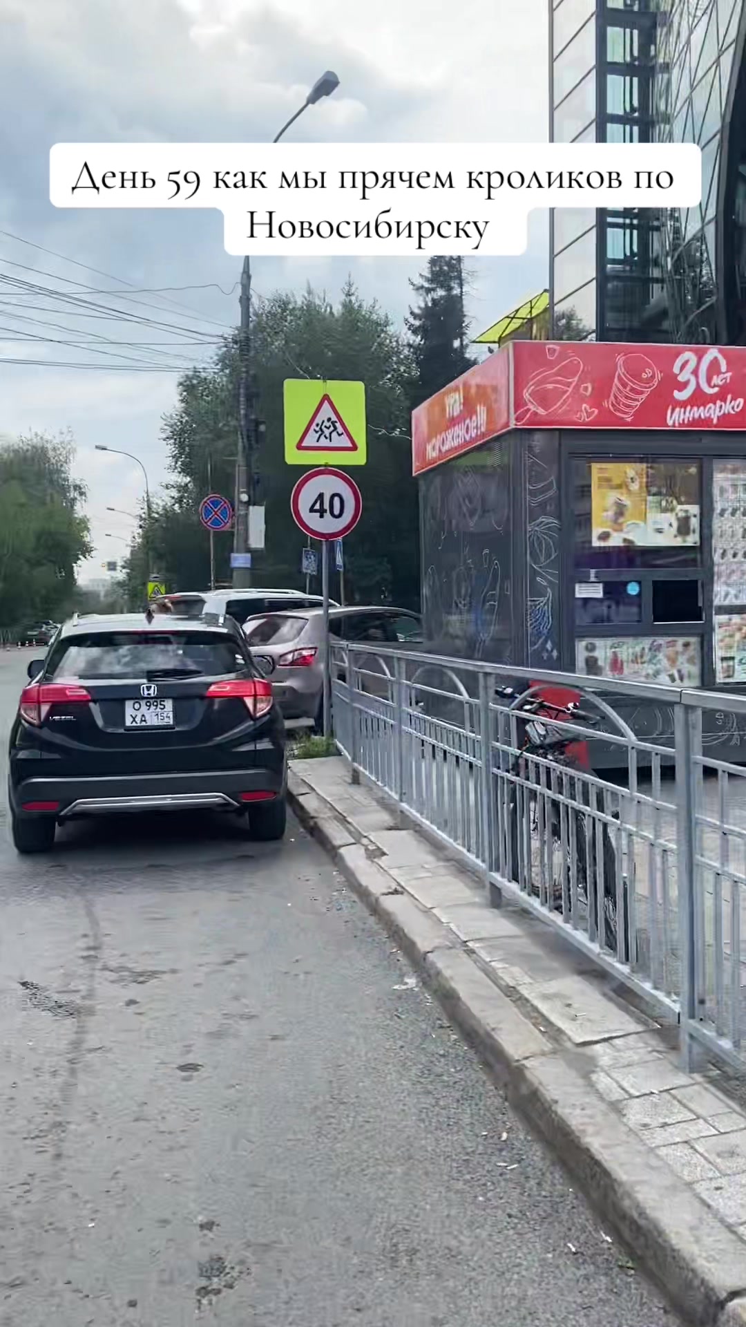 @Кролики