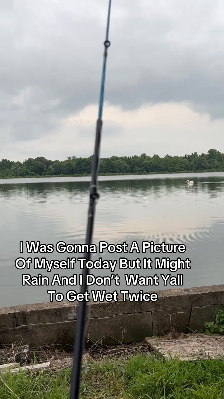 @Tyquu