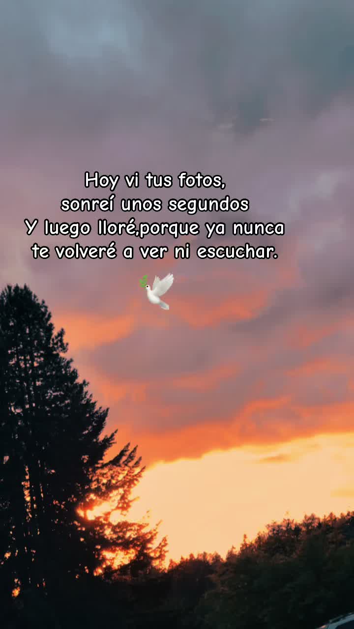 @Niky💔🥹🕊️