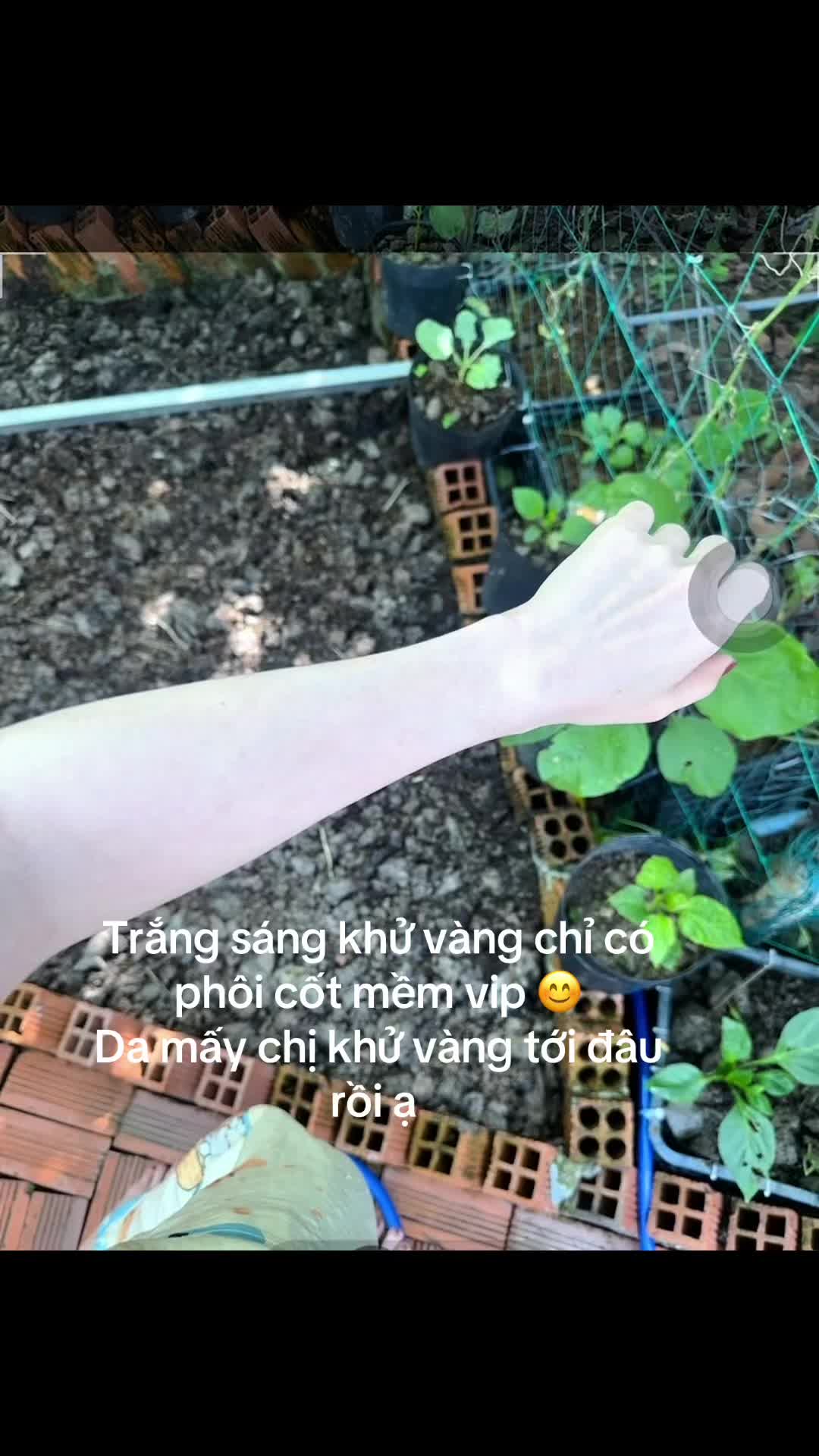 @hồng &acirc;n