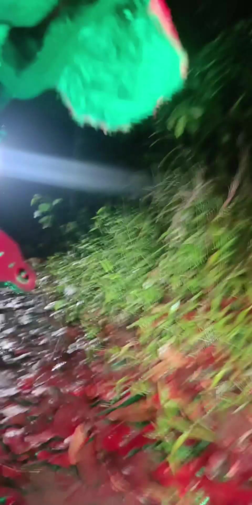 @๐๐๐ง๐๐ซ๐ ๐๐ข๐ฃ๐๐ฒ๐