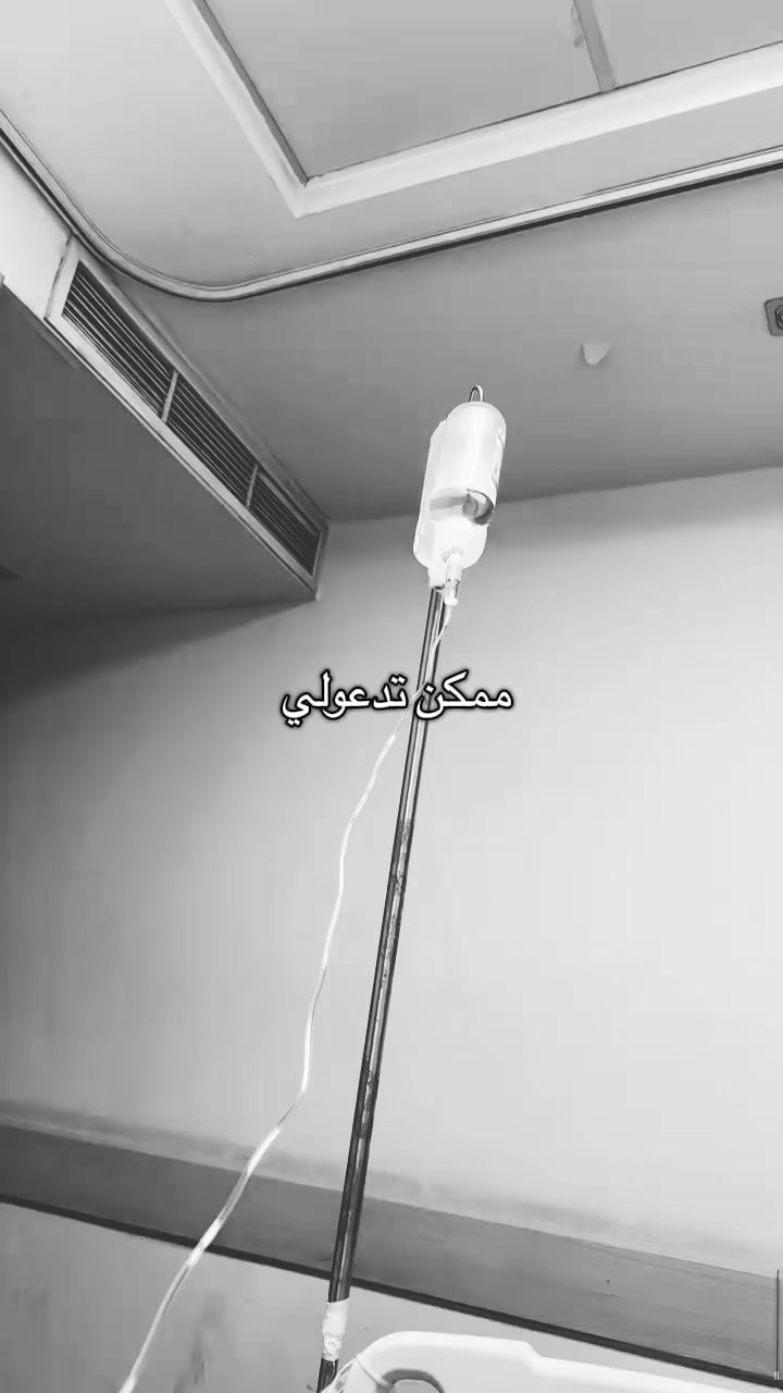 @Engy Sherif