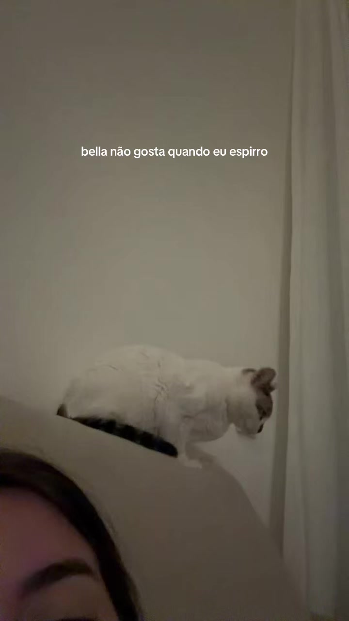 @Sofia Santino
