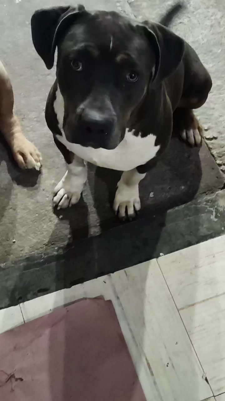 @๐ฎ๐ณ๐ธ๐'๐๐๐๐๐๐๐