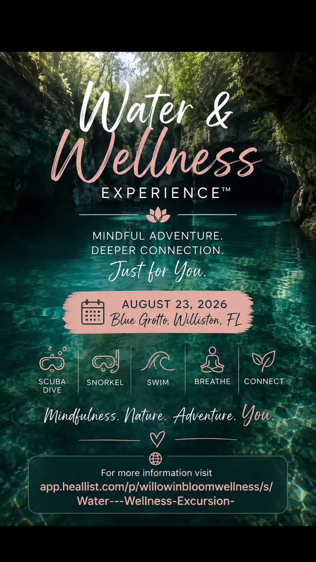 @willowinbloomwellness