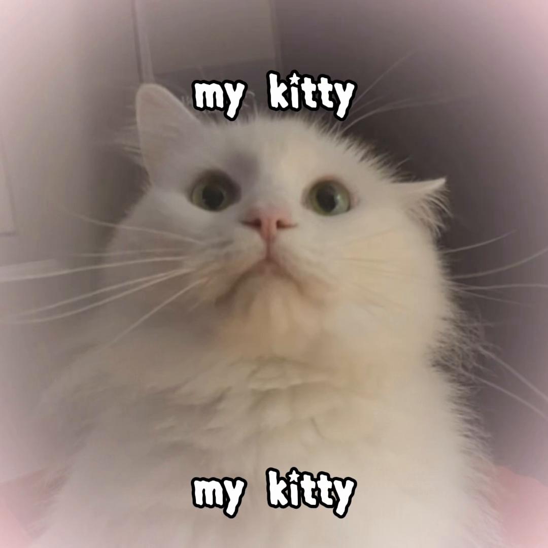 @sweetmillypie