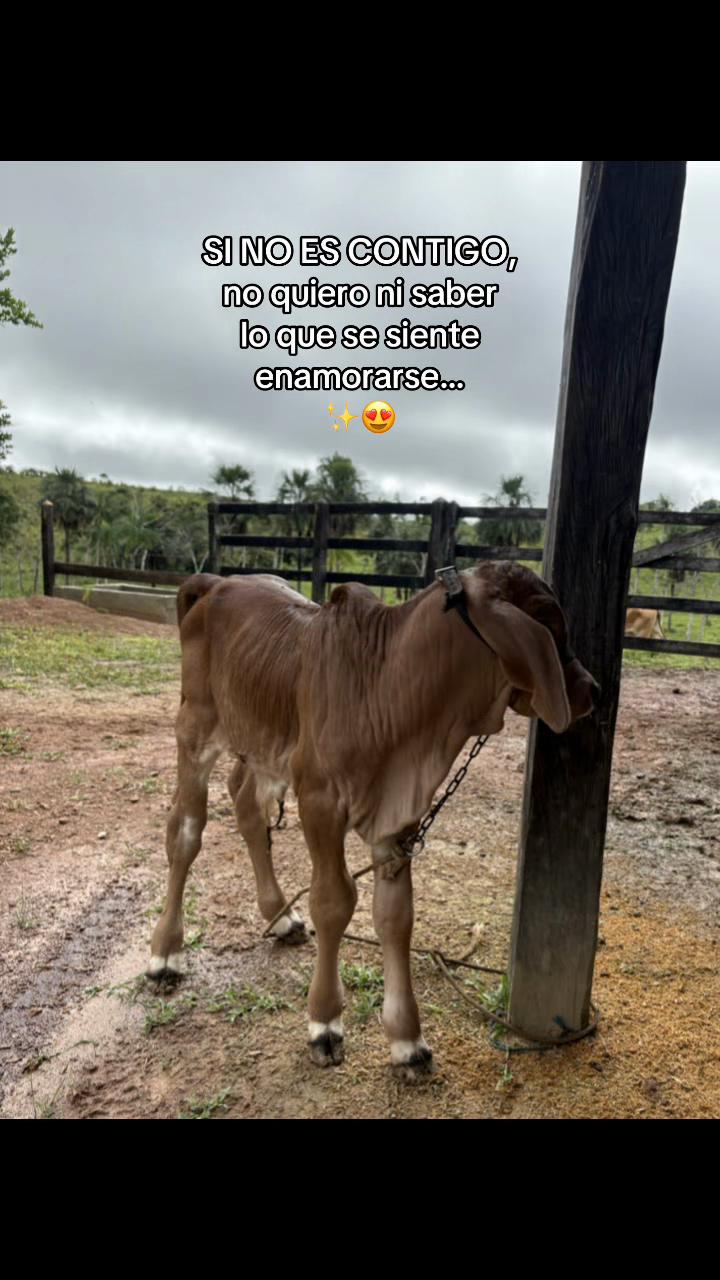@Didier_🤠