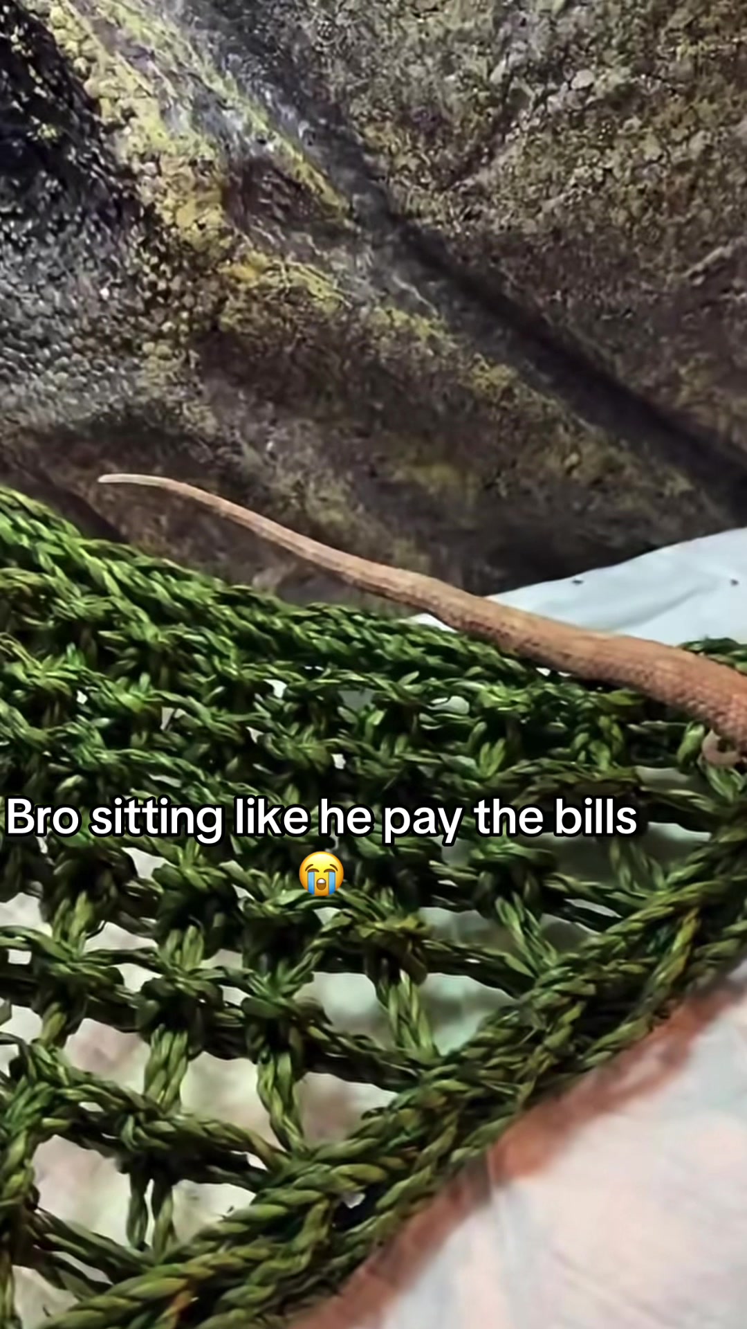 @jj2real 🐟
