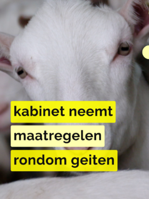@Zembla