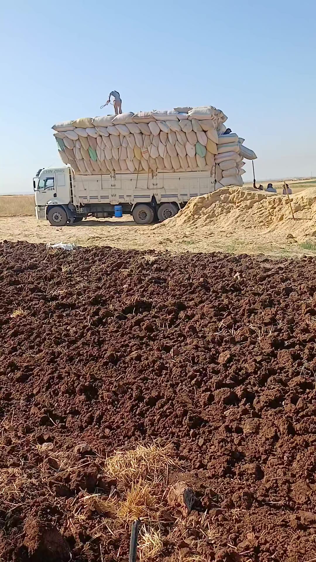 @mevlütkocaman