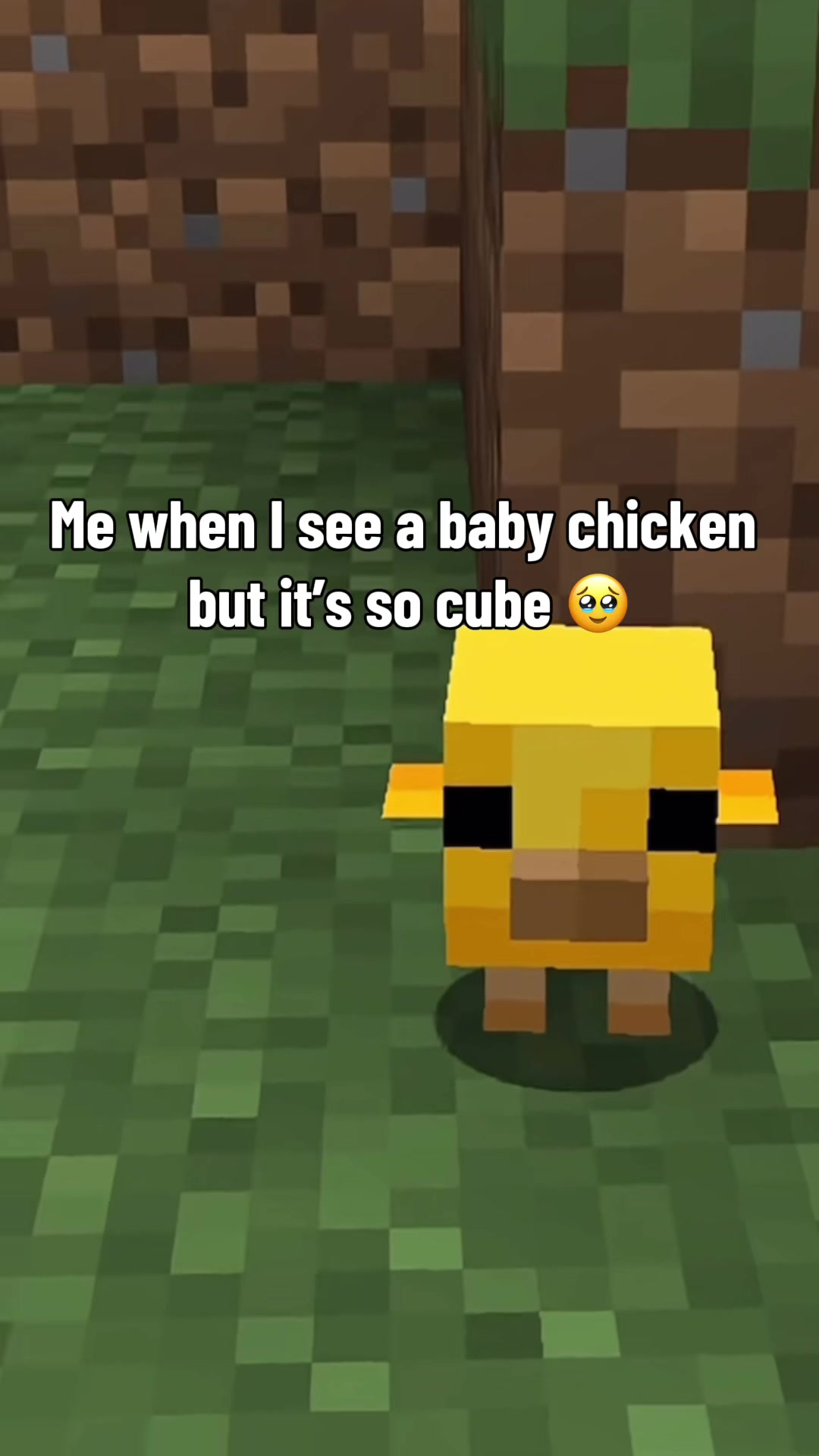 @Stitchiot