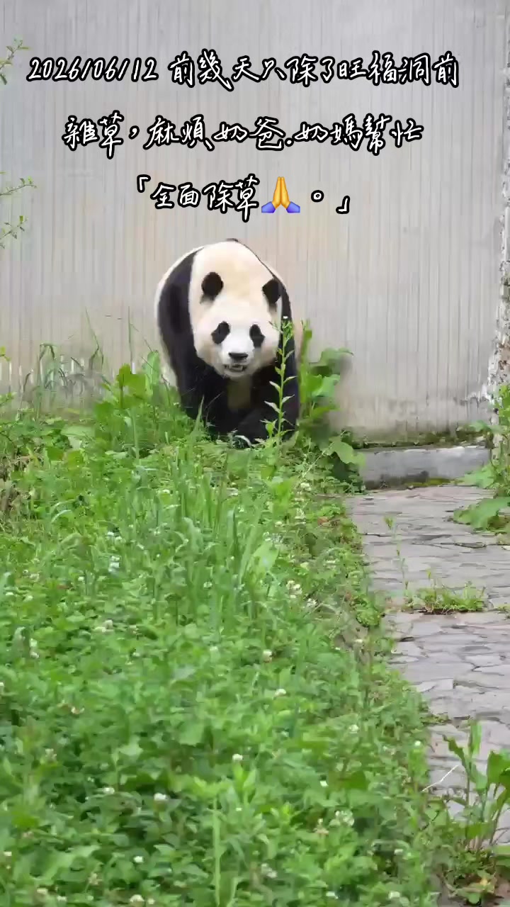@福寶需要愛的抱抱