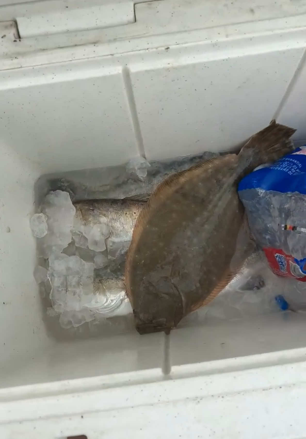 @matthewm.fishing