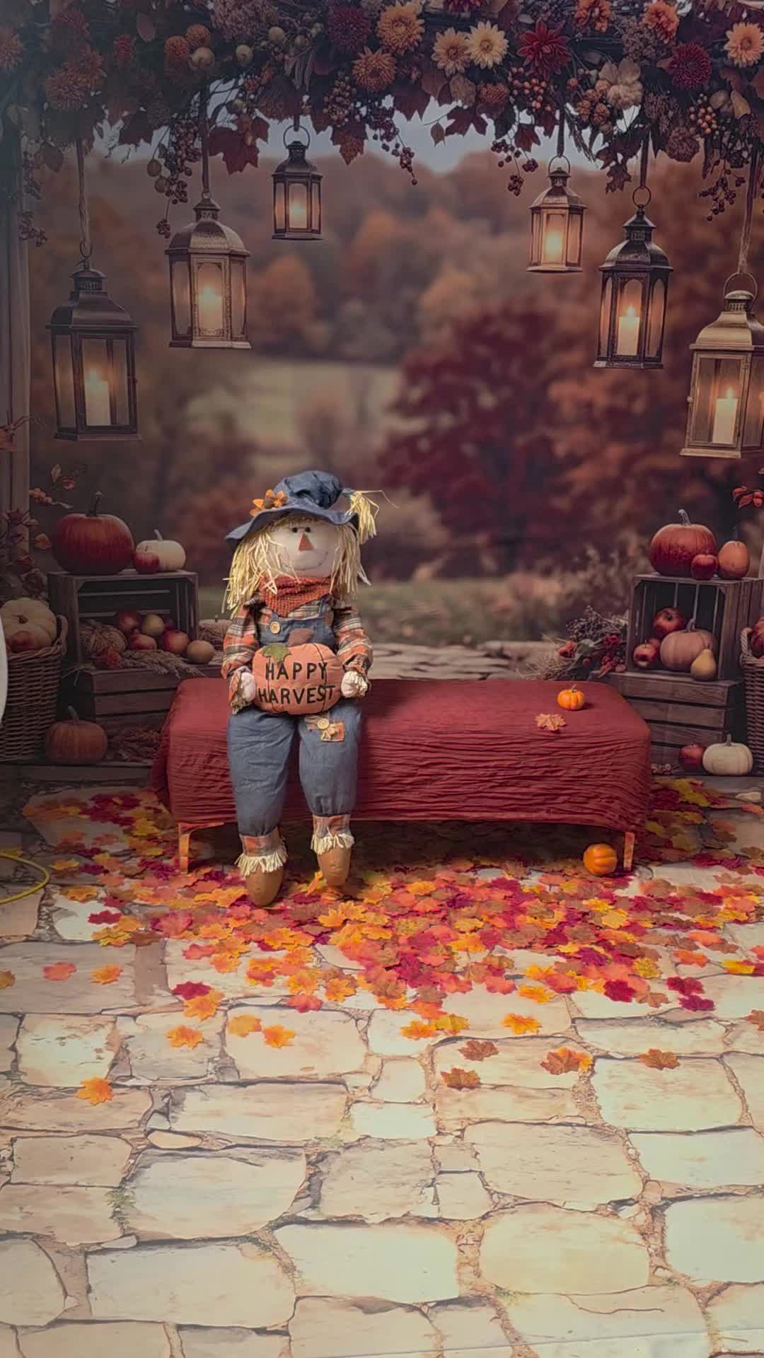 @salinasfotografo