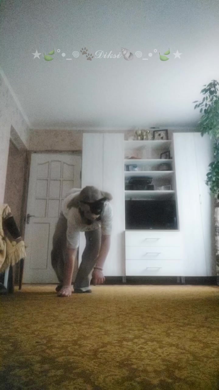 @★🍃°•_𖦹🐾𝓓𝓲𝓴𝓼𝓲🐚𖦹_•°🍃★