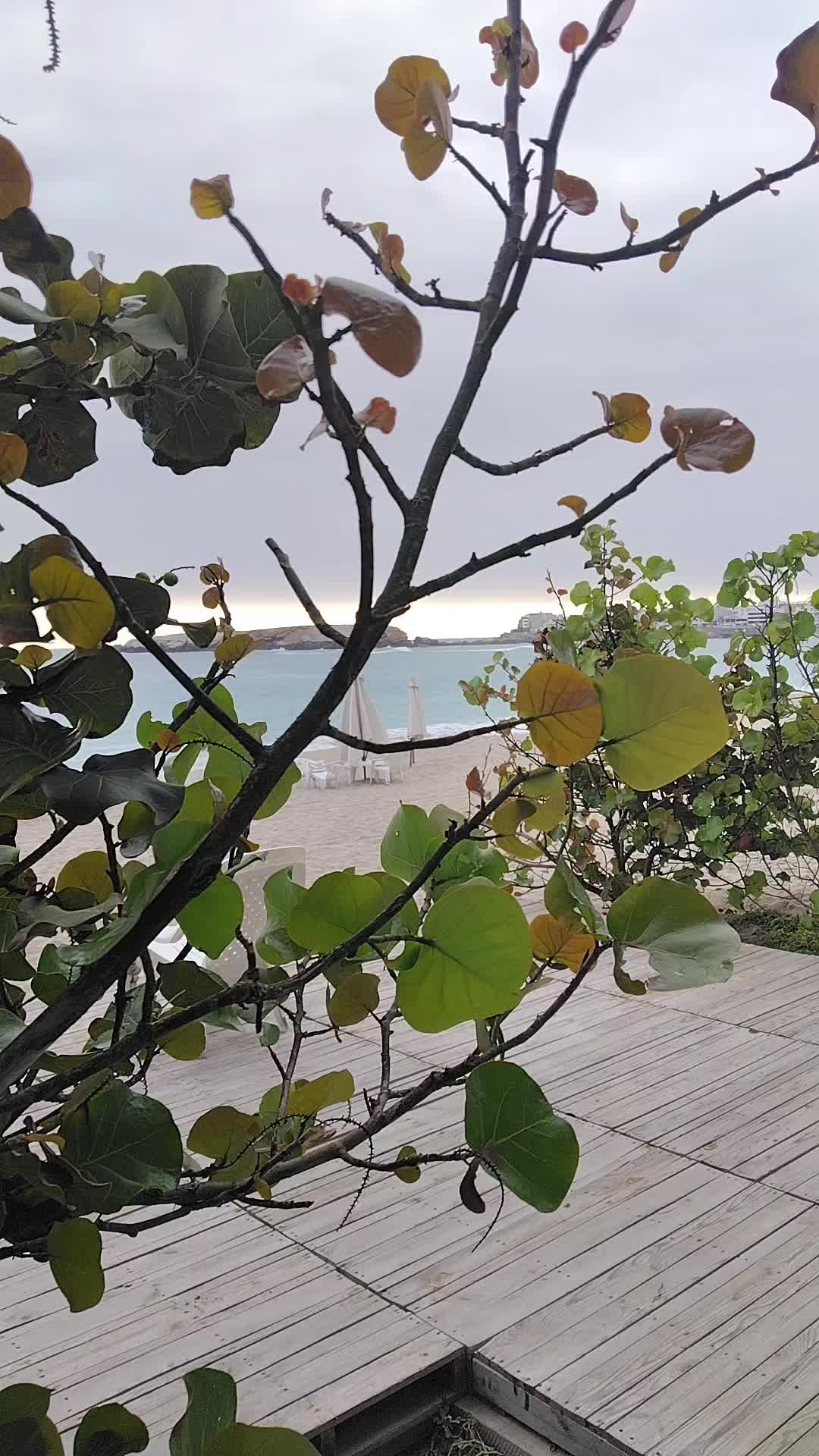 @Punta Hermosa 💖