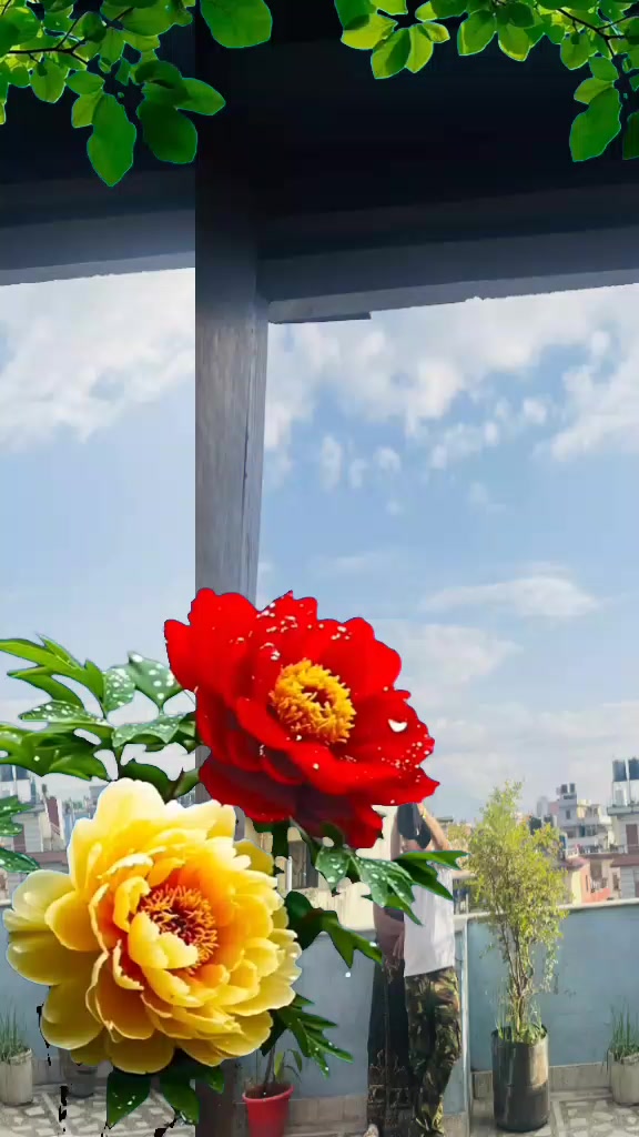 @गुरूङ ❤️❤️ गाेर्खालि