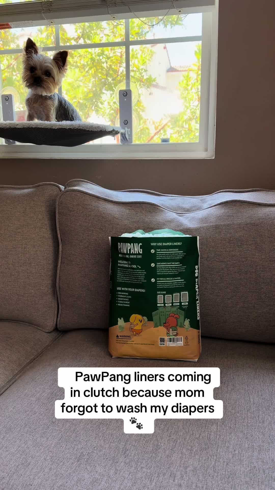 @Milo & Mia 🐾