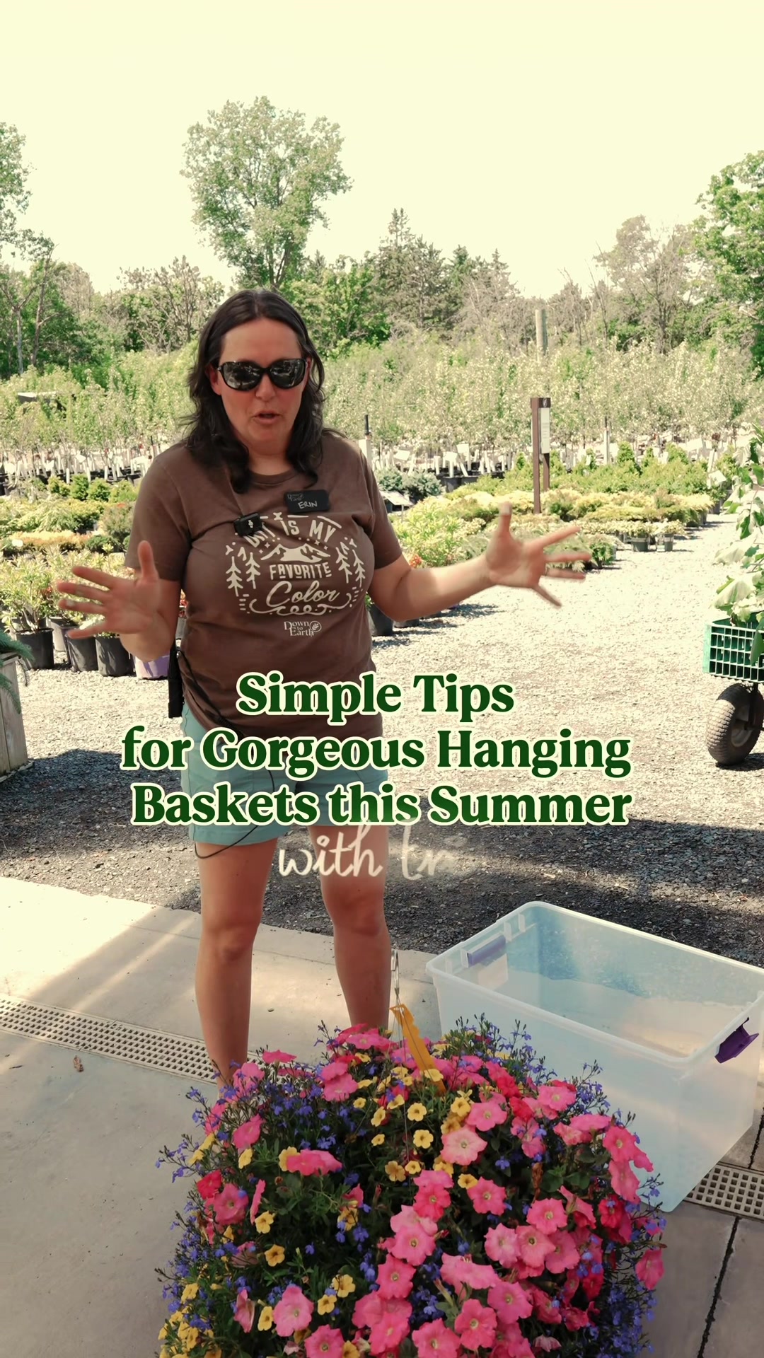 @Down to Earth Tropicals