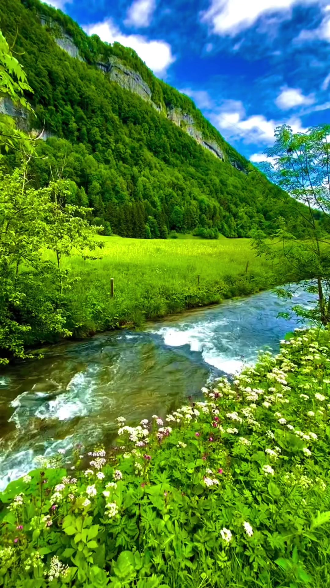 @S̳w̳i̳s̳s̳🇨🇭s̳c̳h̳w̳e̳i̳z̳