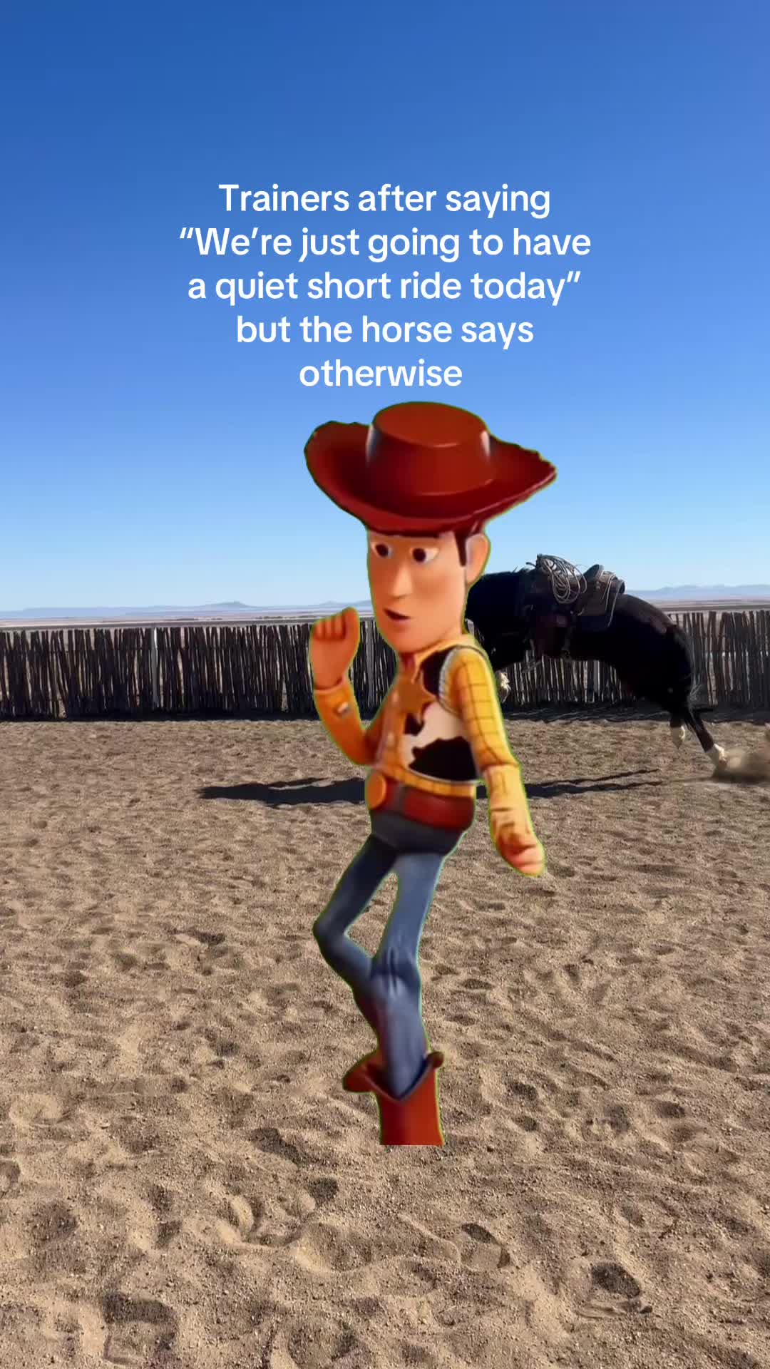 @cowgirlcommentary