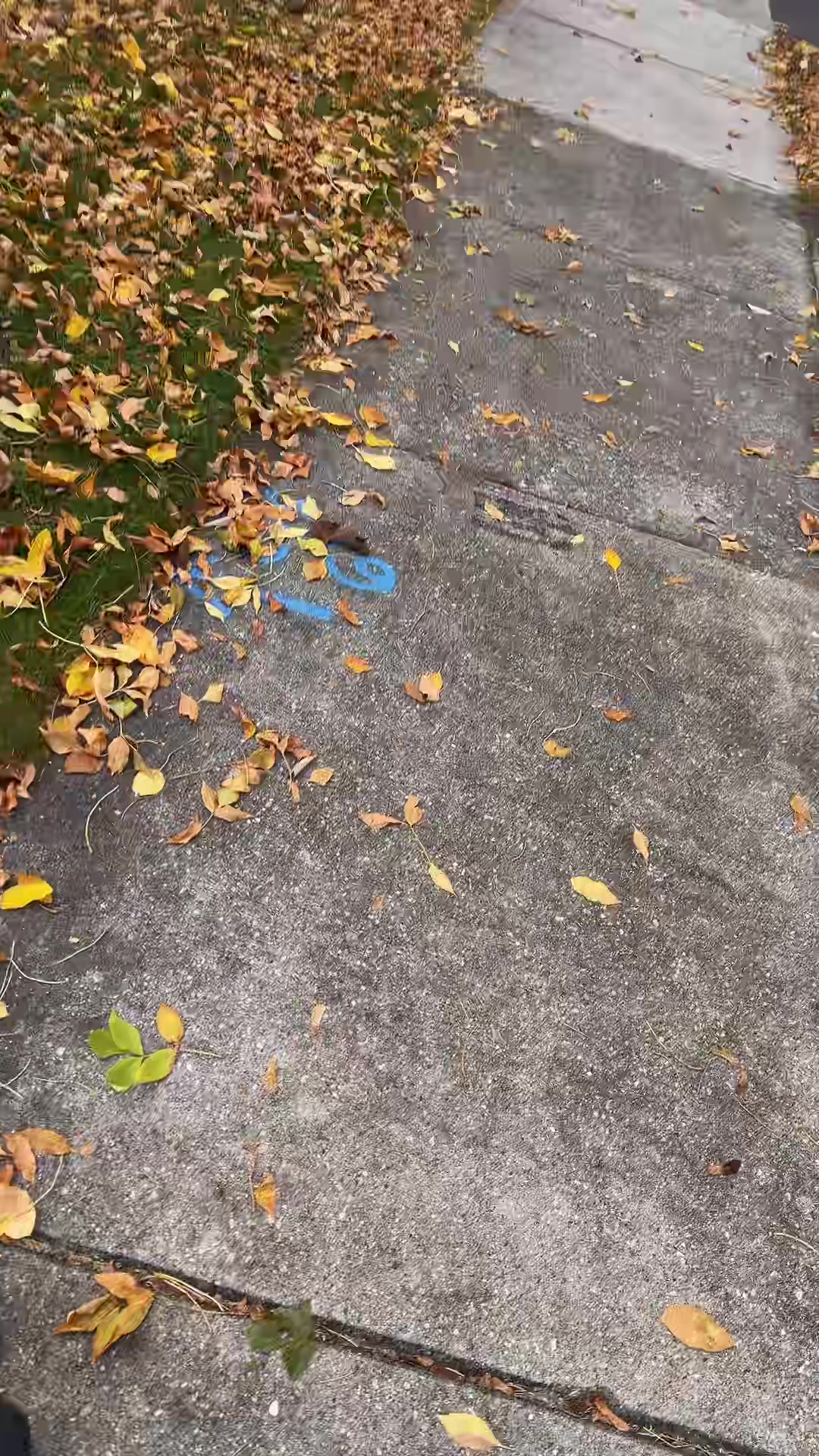 @fallingofftheb0ne